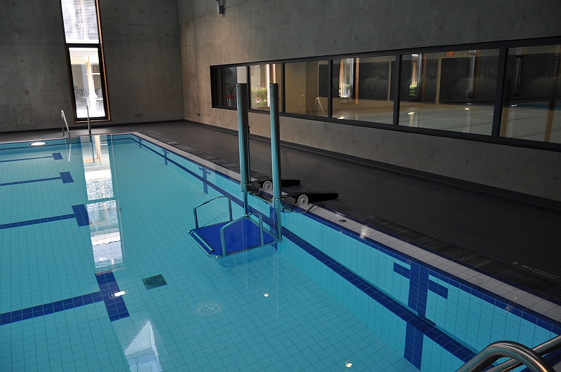 lifting platform to carry out a transfer in the pool